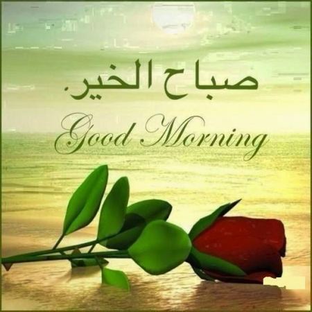 لا شكّ أنّ الصباح هو بعث جديد لحياة جديدة ، والصباح لا يكتمل الا على انغام الست فيروز،http://giss.tv:8001/RadioSeba.mp3